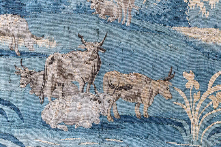Detail of cattle before cleaning 