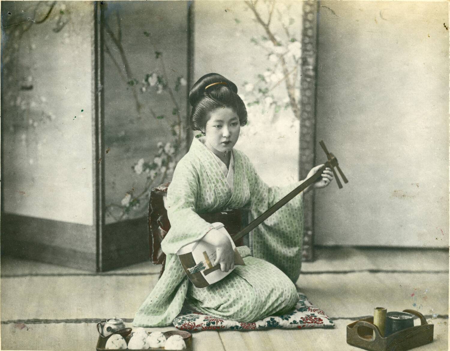 Black and white photo of a Japanese lady playing a shamisen in front of a screen decorated with cherry blossom.