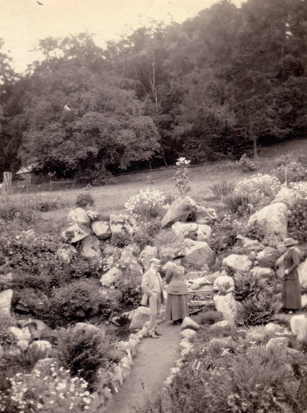 Black and white photograph of a densely planted rock garden