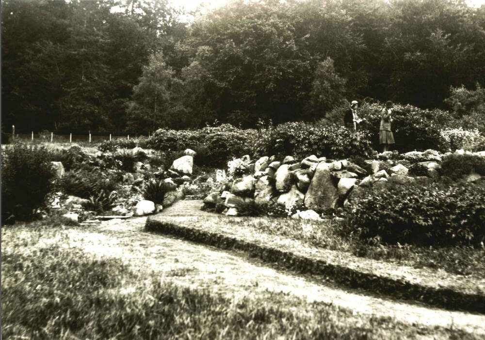 Black and white photograph of a rock garden
