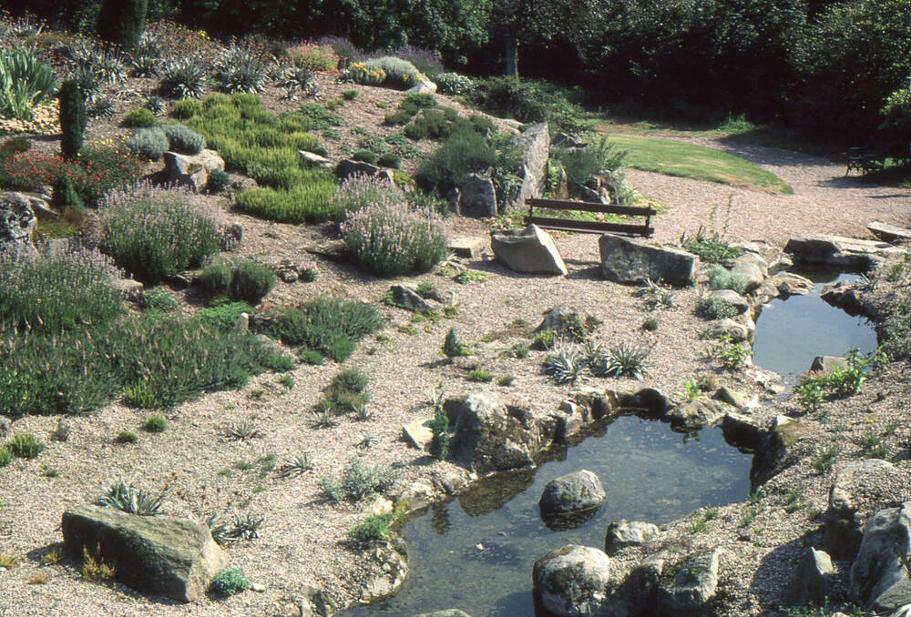 Photograph of a rock garden with two small ponds in the foreground