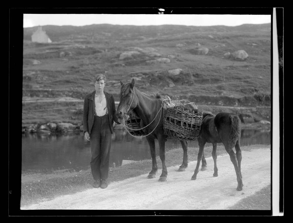 Black and white photo of a man leading a horse with wicker baskets on its back and a foal.