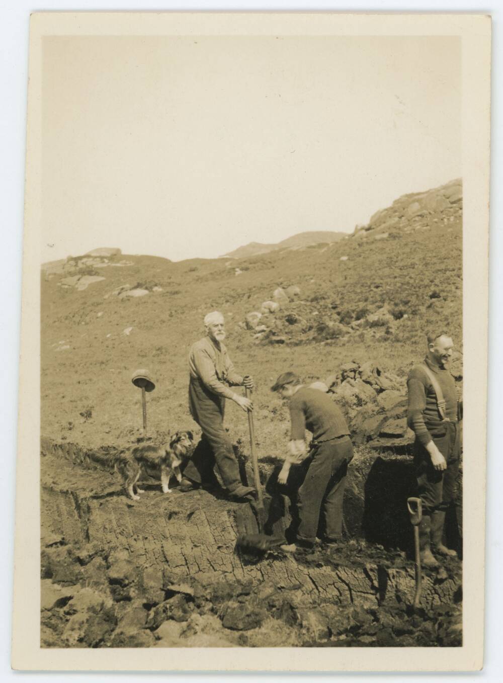 Black and white photograph of men cutting peat in a landscape.