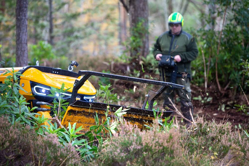 A yellow machine is mulching rhododendron bushes in woodland, looked on by a man in a safety helmet.