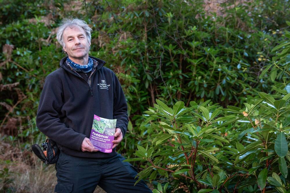 A man is standing in front of dense rhododendron bushes, holding a leaflet about Torridon.
