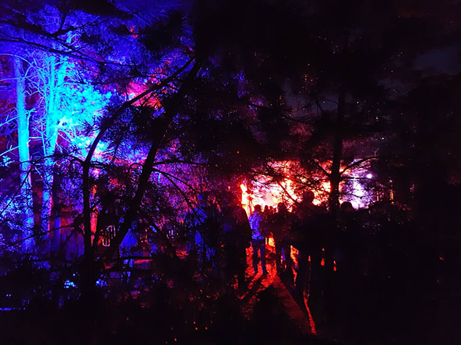 A large group of people stand outdoors at night, looking towards a brightly lit stage. Beside them are trees, lit with bright blue lights.